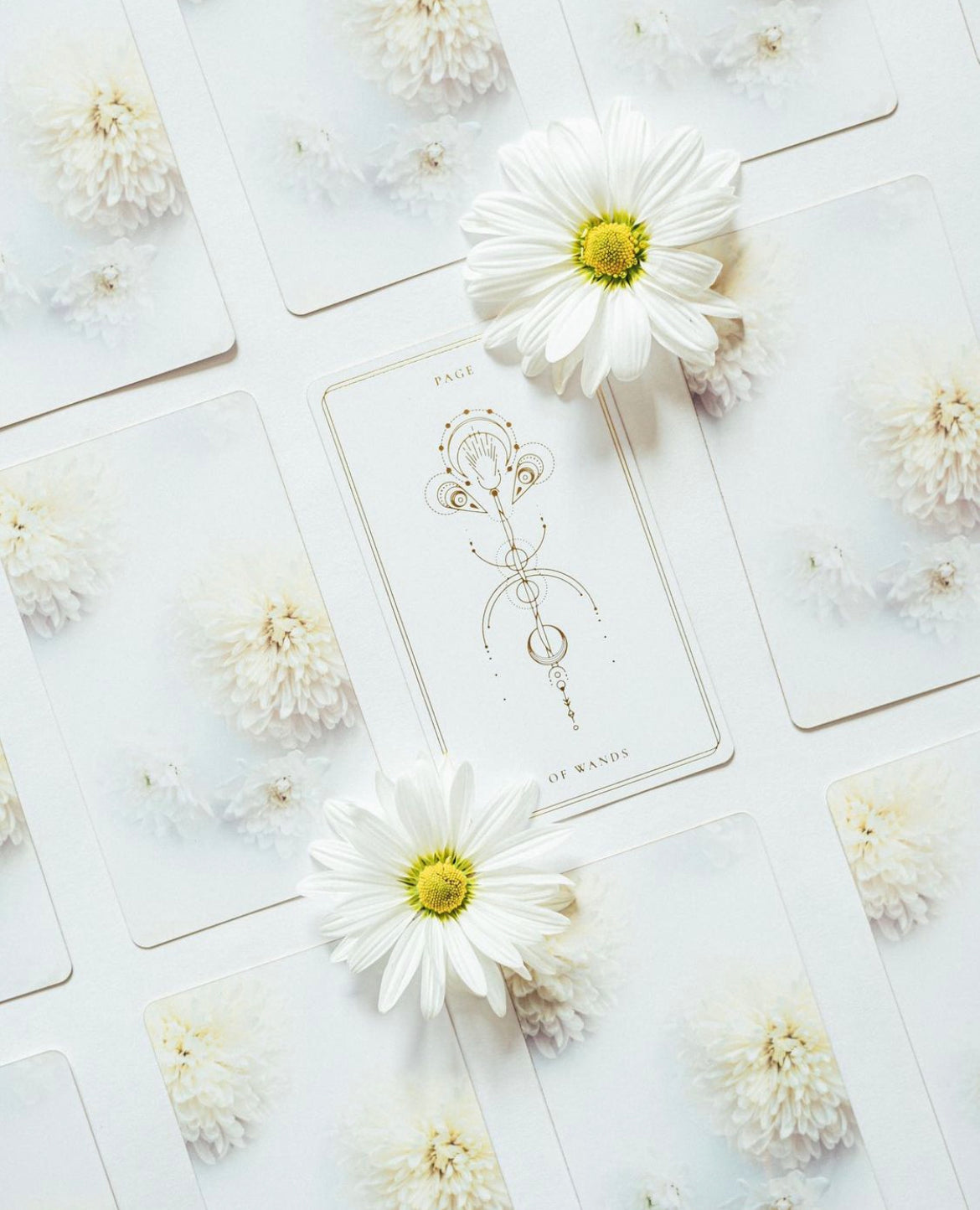 Soul Cards White Dahlia