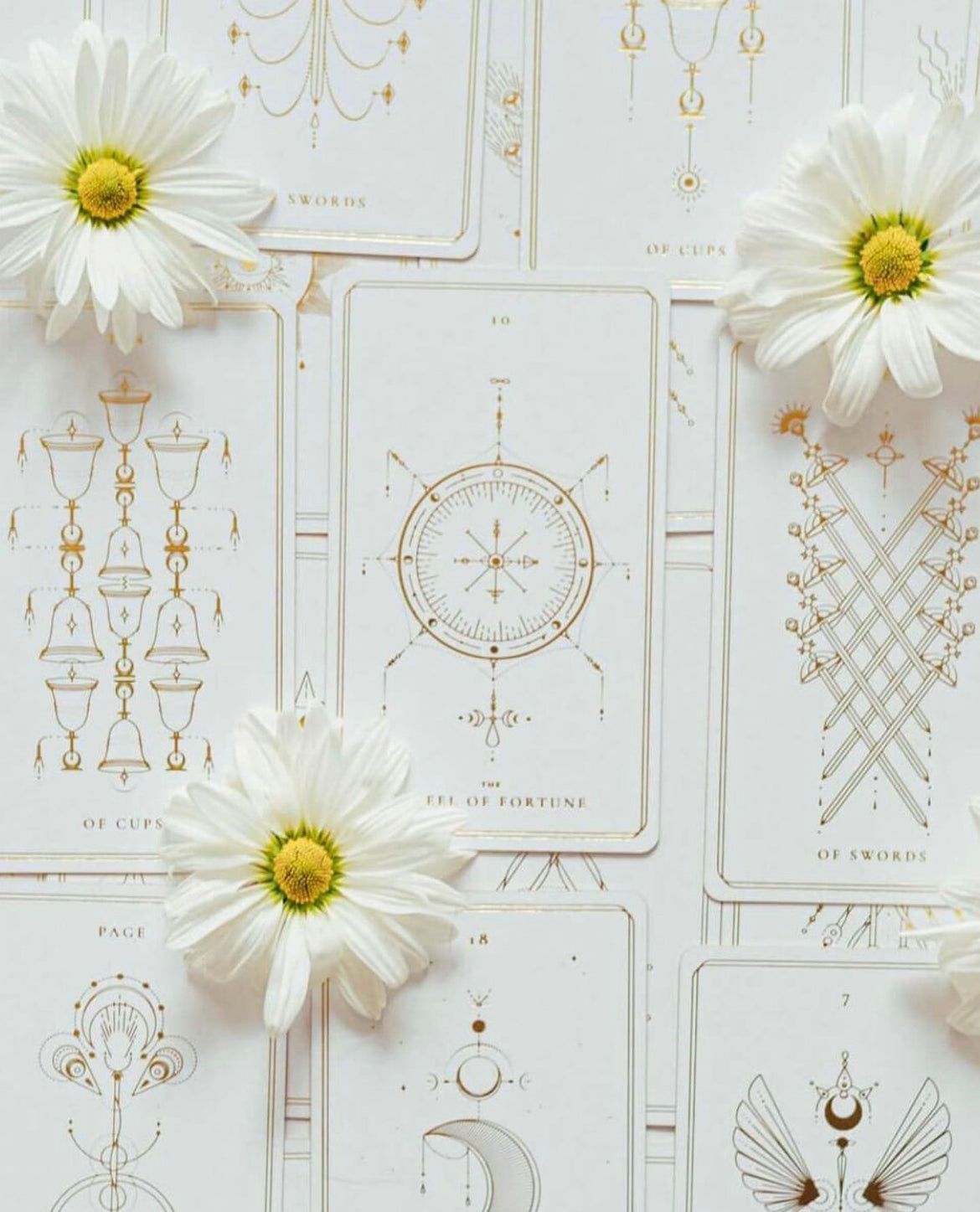 Soul Cards White Dahlia