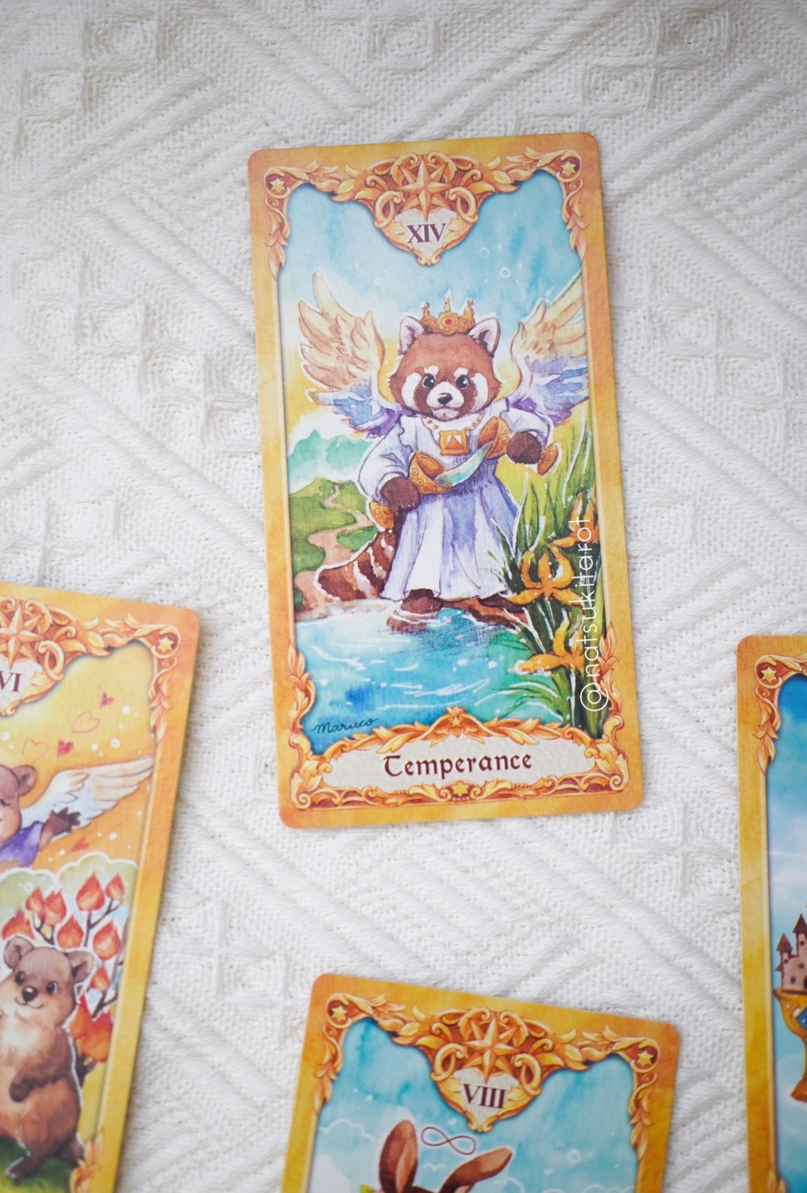 小動物塔羅 Animal Tarot